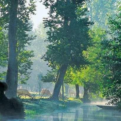 A la découverte du Marais Sauvage