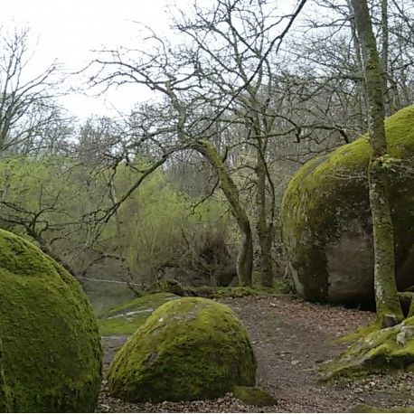 Granit et chemins creux, de la Vonne à Bois Pouvreau