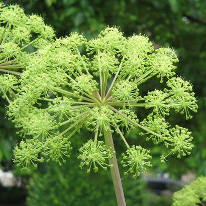Aux portes du Marais Poitevin
