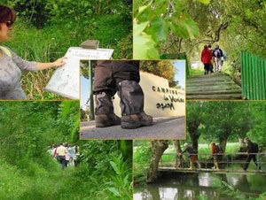 Office de tourisme Niort Marais Poitevin
