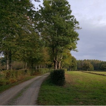 Sur les pas de la déesse Trivis